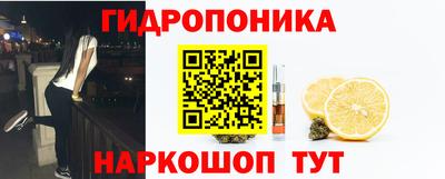 гидропоника Краснознаменск