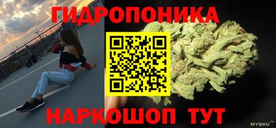СК Краснокаменск