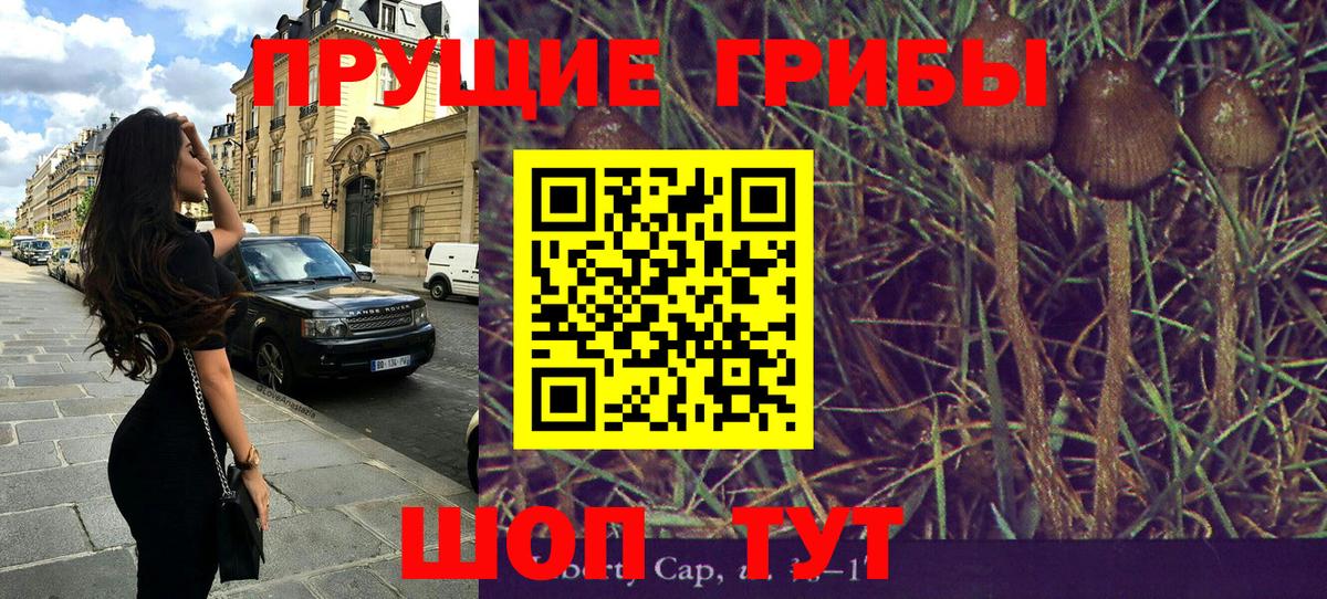 Галлюциногенные грибы прущие грибы Сосновый Бор